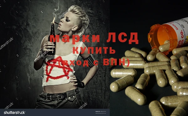кокс Аркадак