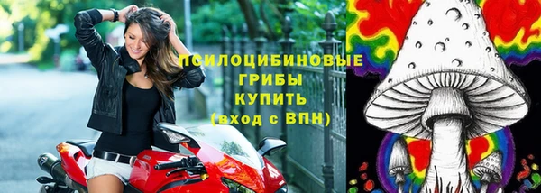 мяу мяу мука Арсеньев