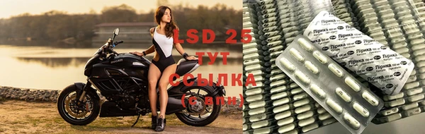 кокс Аркадак