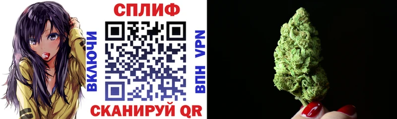 Купить где  Тара  Бошки марихуана OG Kush 